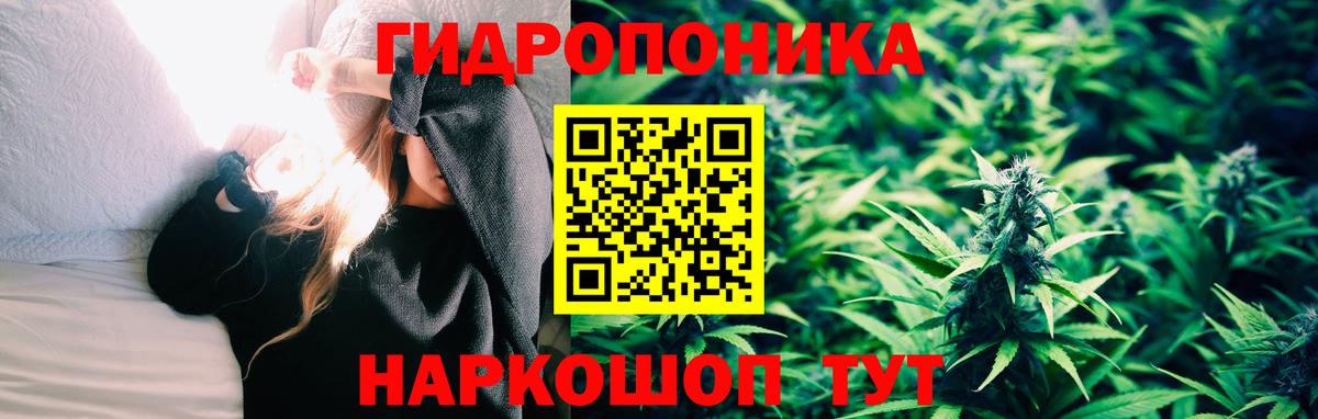 Бошки Шишки Amnesia Рубцовск